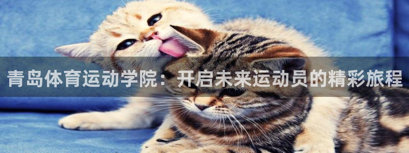 3377体育官网下载平台是正规平台吗安全吗:青岛体育运动学院