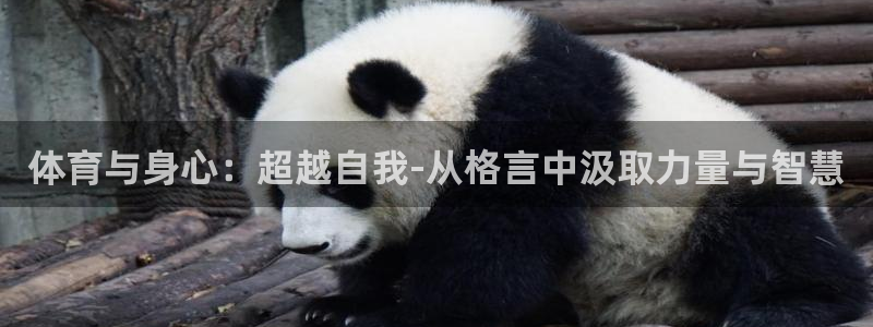 海南3377体育官网下载:体育与身心:超越自我-从格言中汲取