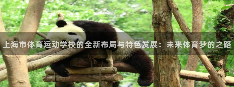 3377体育官网下载平台注册要钱吗:上海市体育运动学校的全新